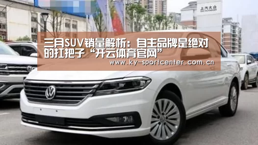 三月SUV销量解析:自主品牌是绝对的扛把子“开云体育官网”