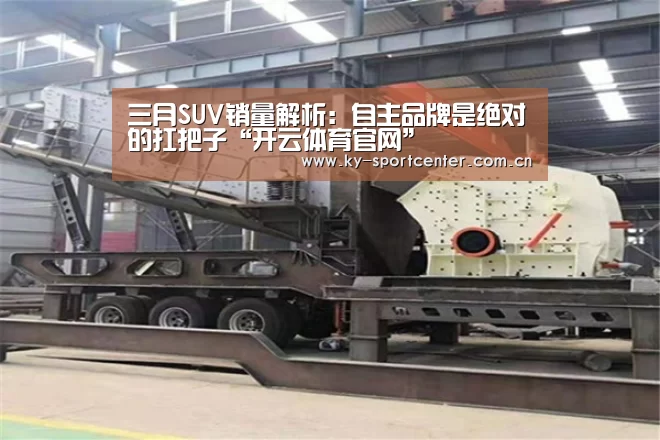 三月SUV销量解析:自主品牌是绝对的扛把子“开云体育官网”(图4) 开云官方网站