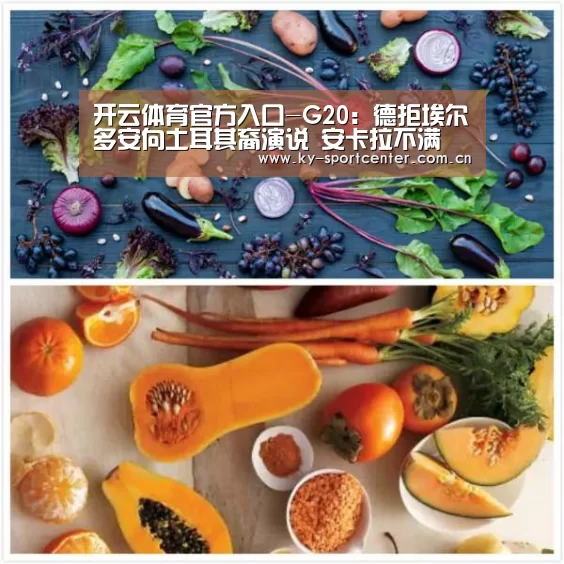 开云体育官方入口-G20:德拒埃尔多安向土耳其裔演说 安卡拉不满