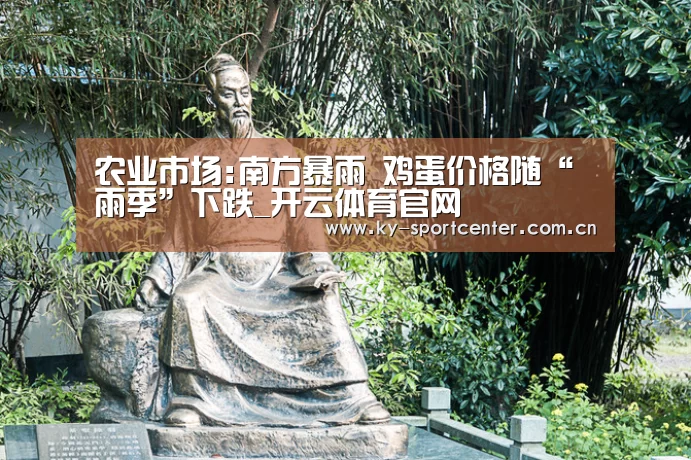 农业市场:南方暴雨 鸡蛋价格随“雨季”下跌_开云体育官网