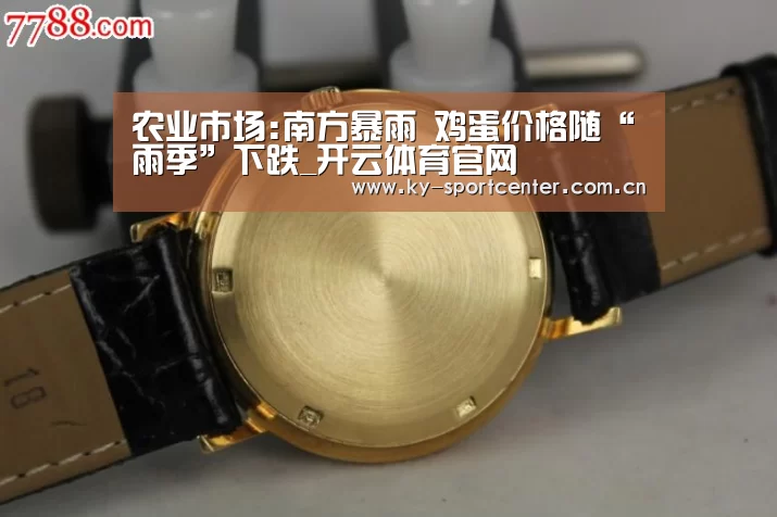 农业市场:南方暴雨 鸡蛋价格随“雨季”下跌_开云体育官网(图2) 开云官方网站