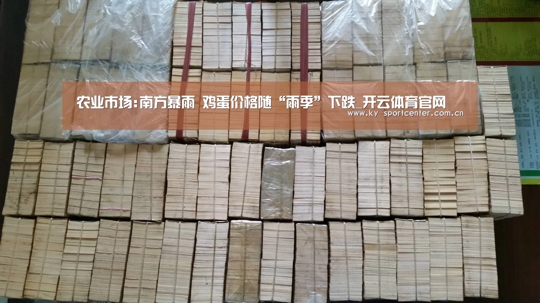 农业市场:南方暴雨 鸡蛋价格随“雨季”下跌_开云体育官网(图4) 开云体育官方入口