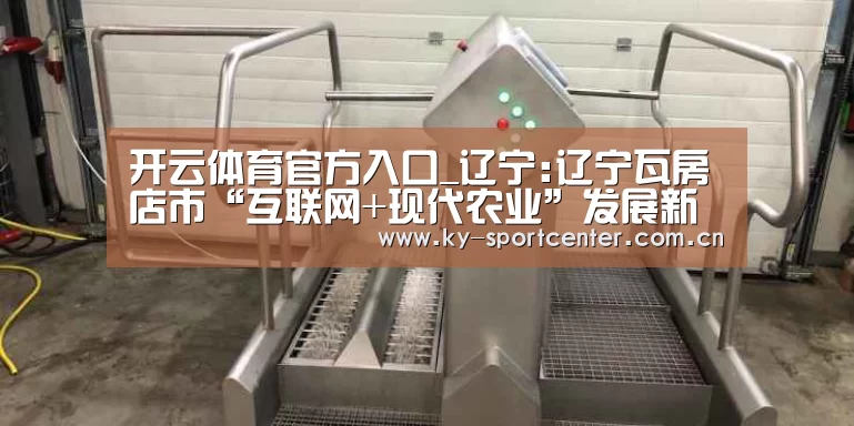 开云体育官方入口