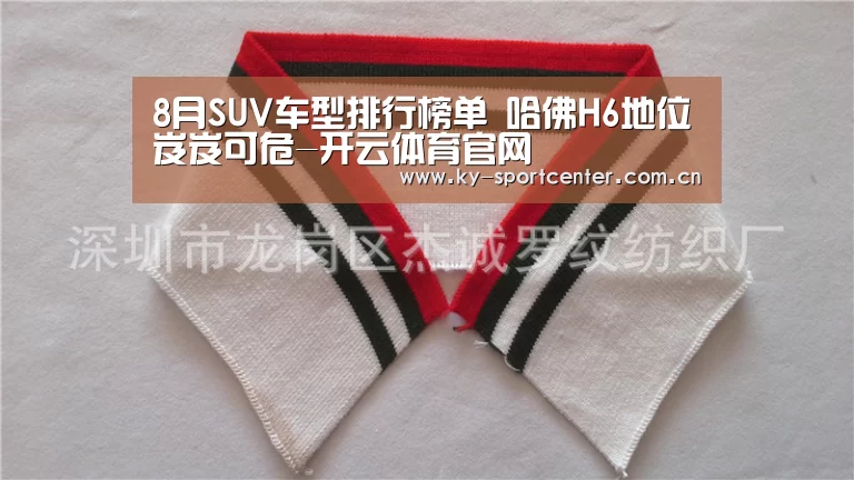 8月SUV车型排行榜单 哈佛H6地位岌岌可危-开云体育官网