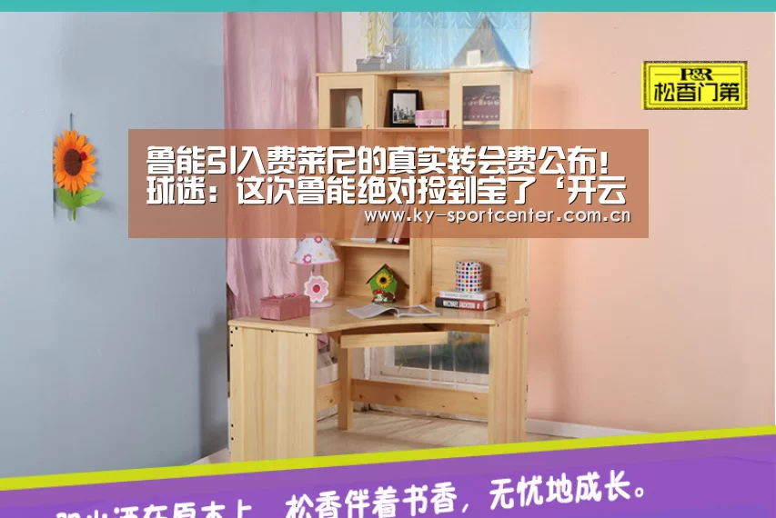 鲁能引入费莱尼的真实转会费公布！球迷：这次鲁能绝对捡到宝了‘开云体育官方入口’