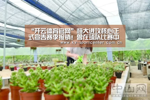 开云官方网站