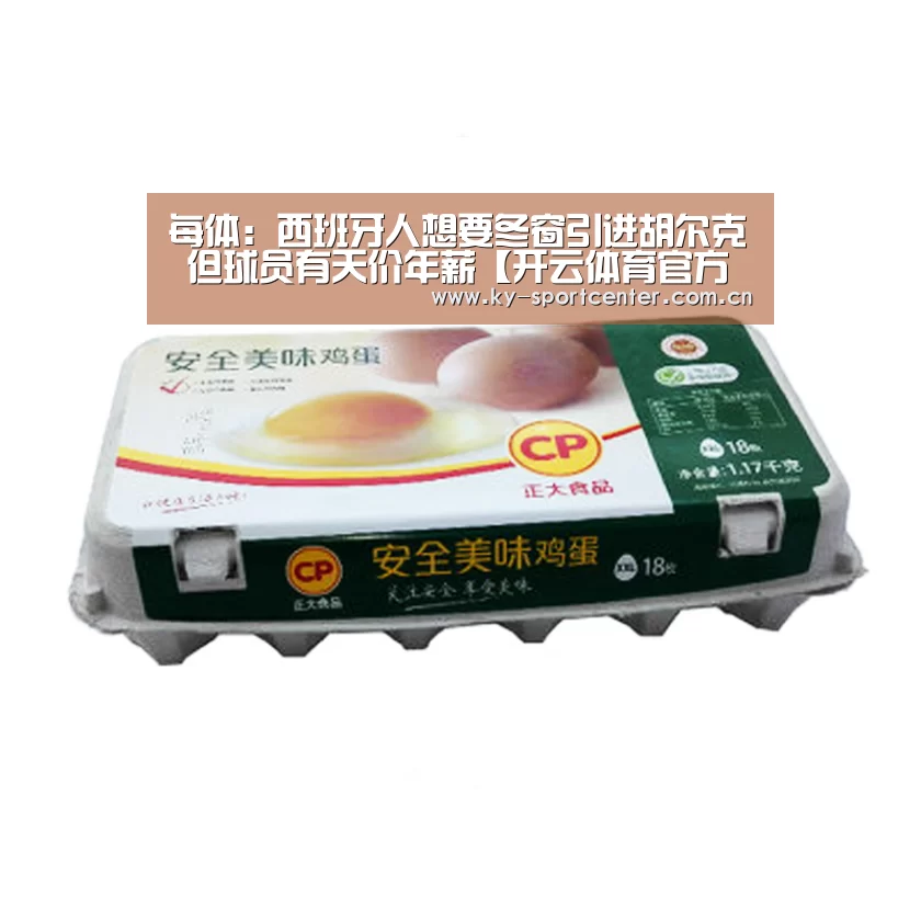 每体:西班牙人想要冬窗引进胡尔克 但球员有天价年薪【开云体育官方入口】(图1) 开云体育官方入口